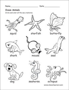 Aquatic Animals – CleverLearner Preschool Resources